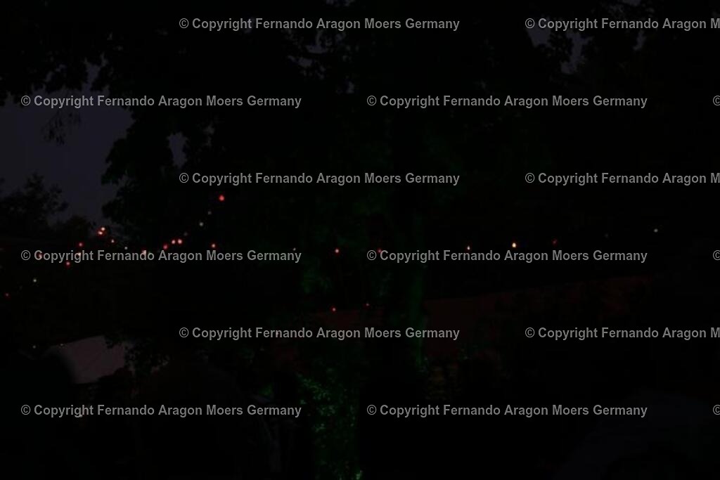 IMG_4652 | aragon-pics - Realisiert mit Pictrs.com