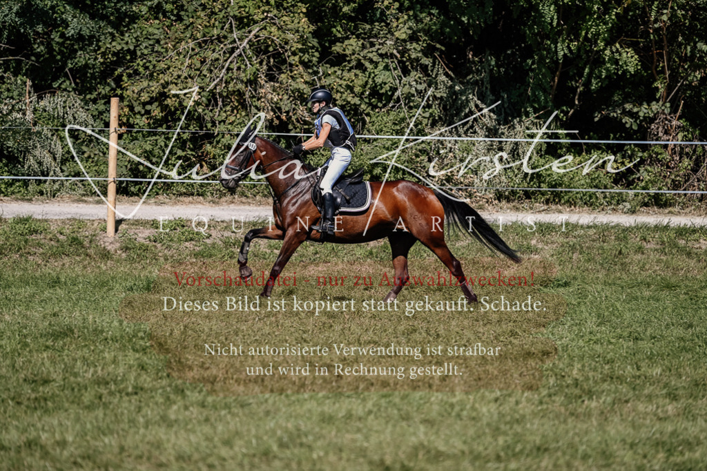 DSC_1736 | Pferde- und Turnierfotografie in Westsachsen. Pferdeportraits, Auftragszeichnungen und intuitive Kunst.
