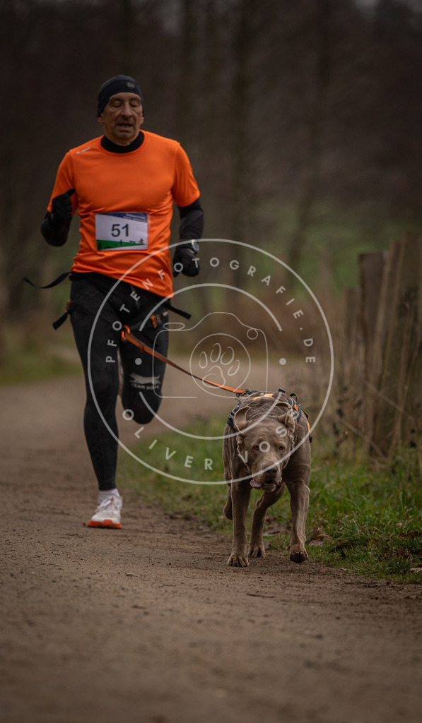 Pfotenfotografie_DV3A2855 | Hundefotografie, Tierfotograf, Pfotenfotografie, Fotoshooting Hund, Hunde Portrait, Hundesport, Hundeportraits, Heideshooting, Hunde, Sportfotograf, Hundefotograf, Turnierhundsport, THS,  - Realisiert mit Pictrs.com