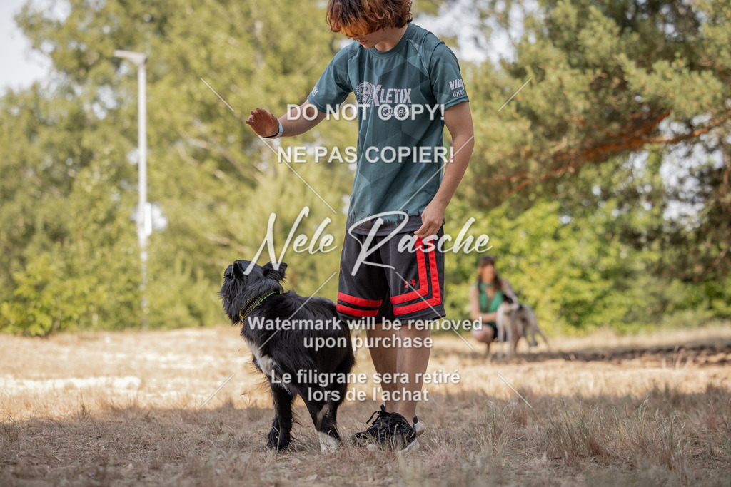 nelerasche_soDD2_336 | nelerasche