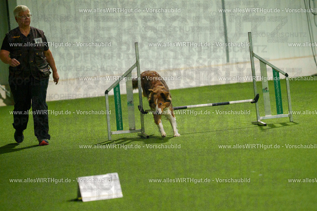 7R508821 | Professionelle Tierfotografie in Mönchengladbach von Daniel Wirth (allesWIRTHgut). Liebevolle & natürliche Bilder von Hunden & Katzen für unvergessliche Erinnerungen.