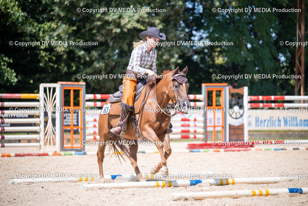 ZS1_1600 | dv-media-shop - Realisiert mit Pictrs.com