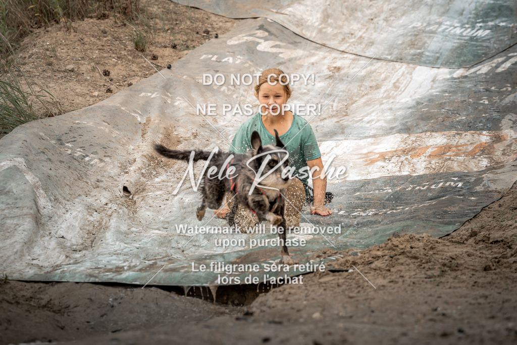 nelerasche_sa1430-1500_140 | nelerasche