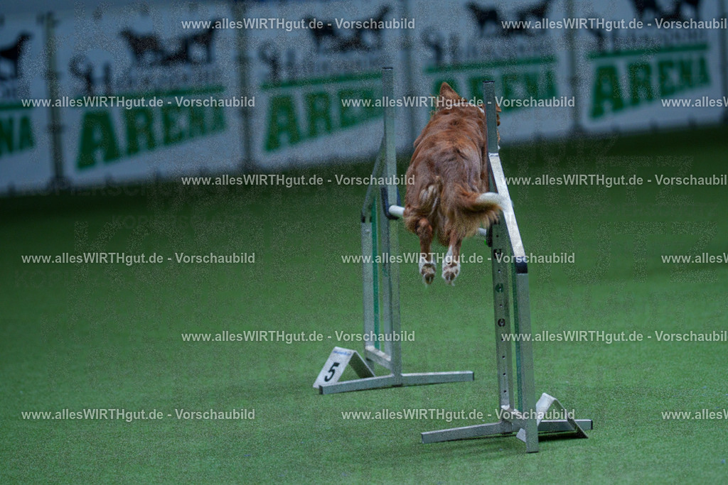 @allesWIRTHgut_Tierfotografie - www.allesWIRTHgut.de - 2604251226-7R501736 | Professionelle Tierfotografie in Mönchengladbach von Daniel Wirth (allesWIRTHgut). Liebevolle & natürliche Bilder von Hunden & Katzen für unvergessliche Erinnerungen.