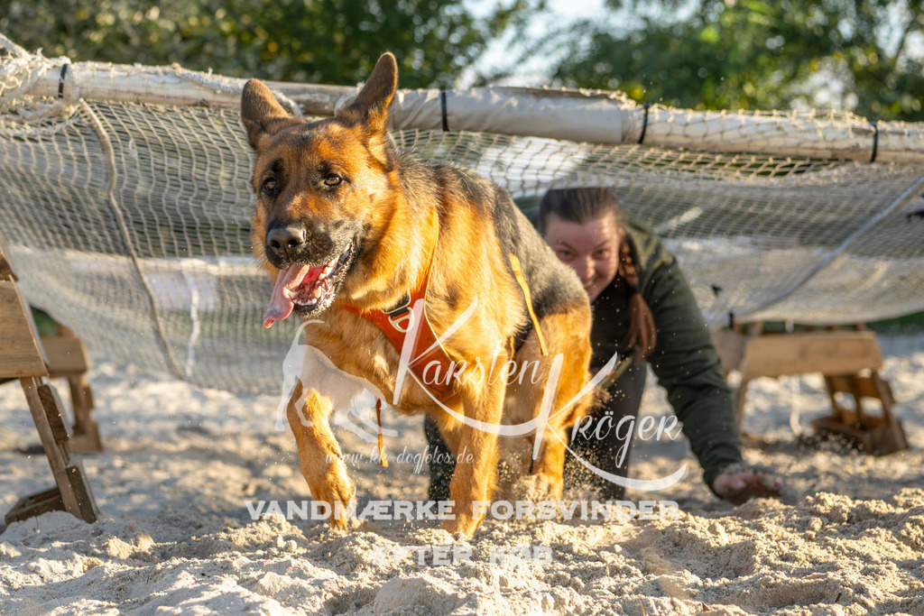 1651_ZZ99826 | kk-dogfotos