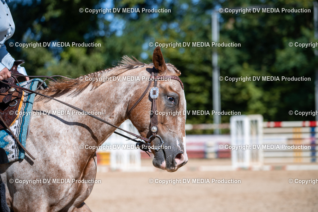 ZS1_0875 | dv-media-shop - Realisiert mit Pictrs.com