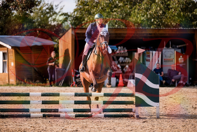 2026_10_03_Siefer-Hof_160637_Z81_88332899 | Professionelle Reitsport-, Turnier- und Eventfotografie von Robert Broda. Galerien mit ausgewählten und bearbeiteten Bildern direkt online ansehen und bestellen.