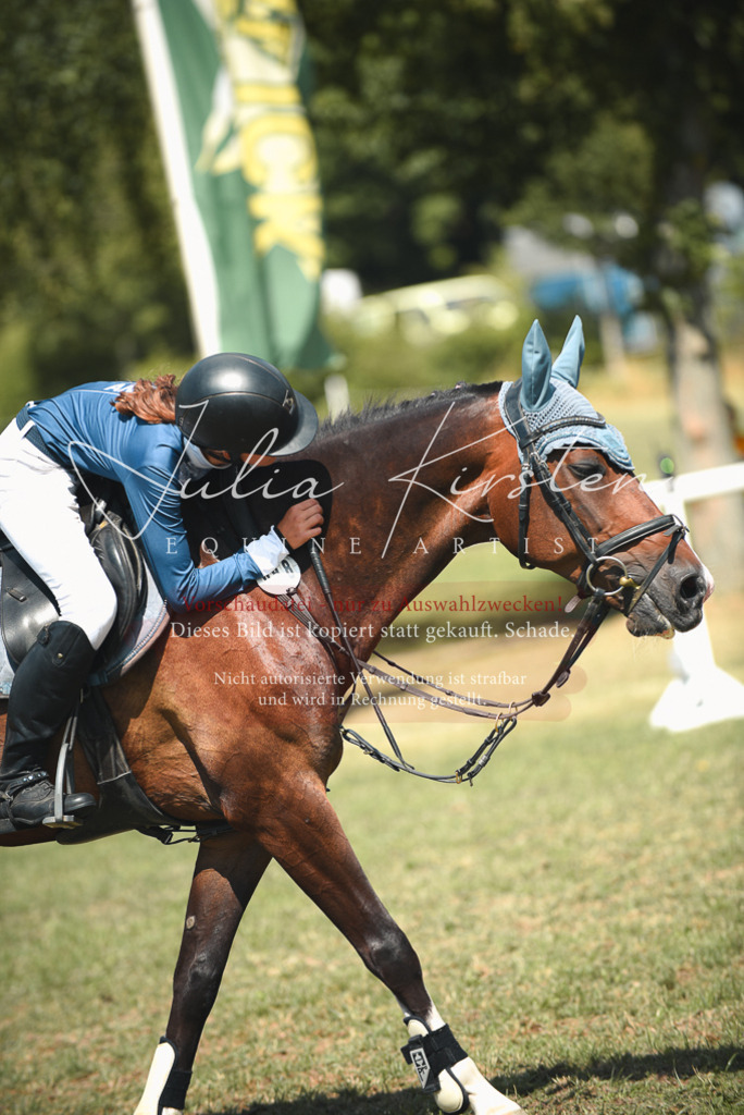 DSC_6781 | Pferde- und Turnierfotografie in Westsachsen. Pferdeportraits, Auftragszeichnungen und intuitive Kunst.