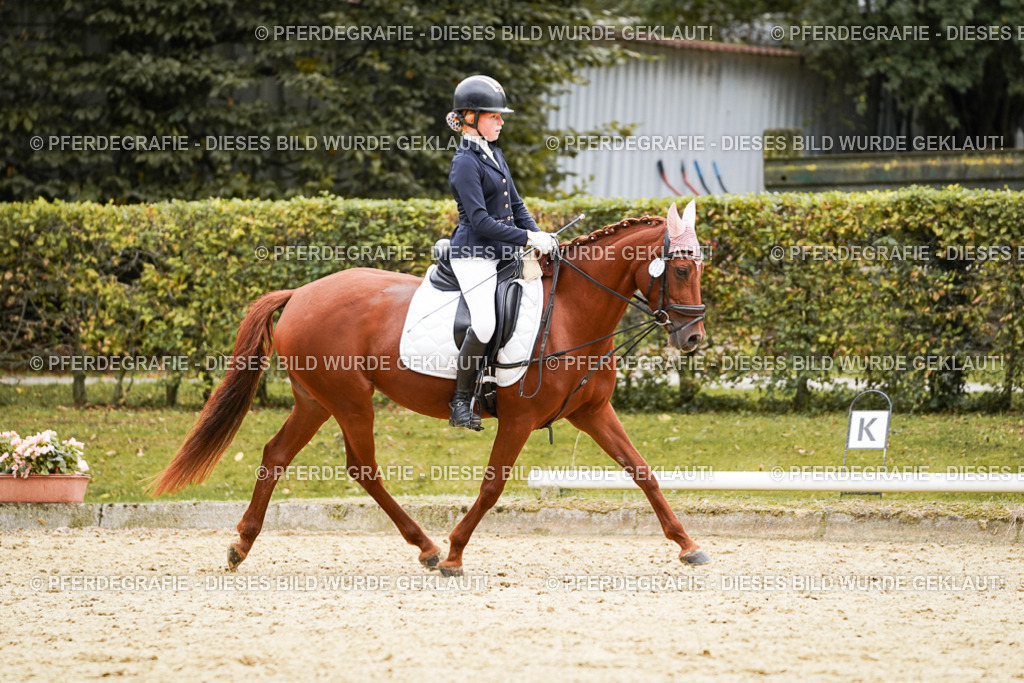 DSC09817 | Pferdegrafie