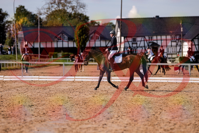 2026_10_03_Siefer-Hof_130229_Z81_56837824 | Professionelle Reitsport-, Turnier- und Eventfotografie von Robert Broda. Galerien mit ausgewählten und bearbeiteten Bildern direkt online ansehen und bestellen.
