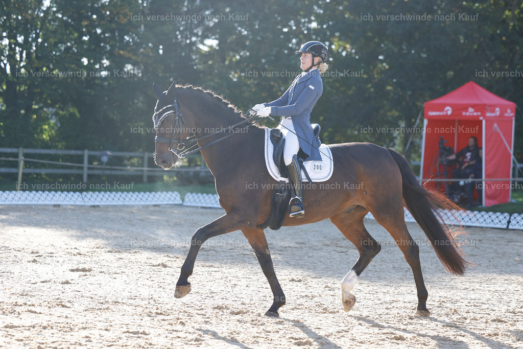 09_1-200-DRESSUR  S_  -StoibPH-5522 | working equitationturnier fotograf videograf stoibphotography marixx film working equitation deutschland reitsport turnierfotografie eventfotografie equestrian events