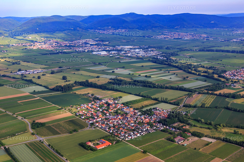 Luftbild: Dorfübersicht aus Südosten in Großfischlingen im Bundesland Rheinland-Pfalz in Deutschland. Foto: IMG_080933.jpg vom 14.06.2015 durch Werner Riehm/FLY-FOTO.de