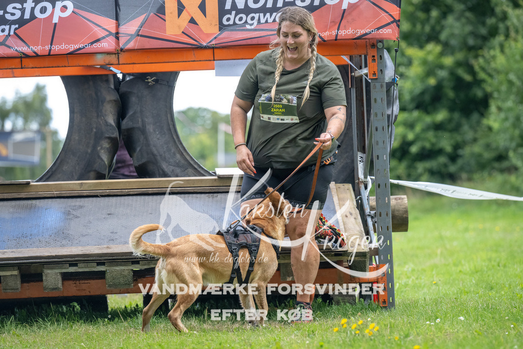 1310_ZZ94714-Bearbeitet | kk-dogfotos
