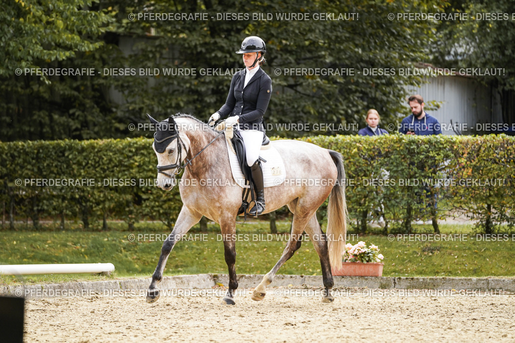 DSC01423 | Pferdegrafie