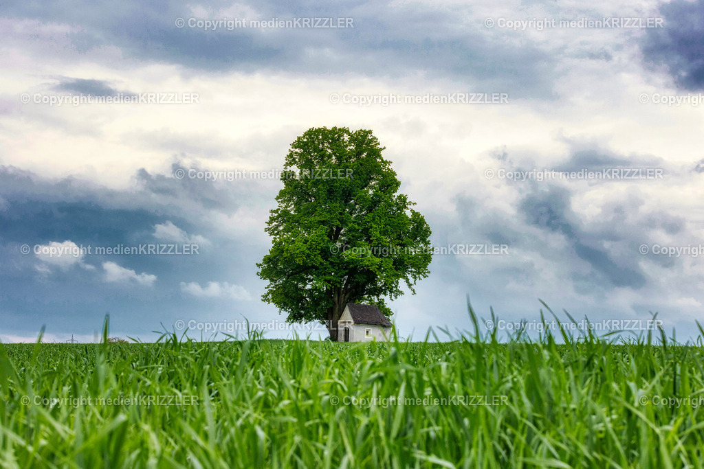 _J3A8906 | medienkrizzler - Realisiert mit Pictrs.com