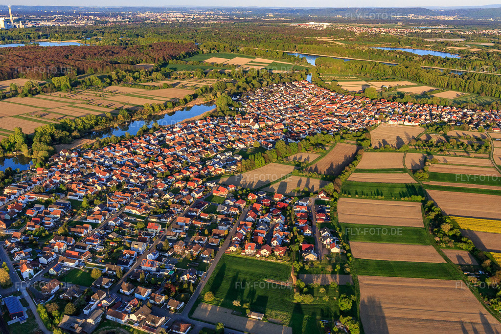 Luftbild: Dorfansicht in den Rheinauen aus Westen in Neuburg am Rhein im Bundesland Rheinland-Pfalz in Deutschland. Foto: IMG_099240.jpg vom 23.04.2017 durch Werner Riehm/FLY-FOTO.de
