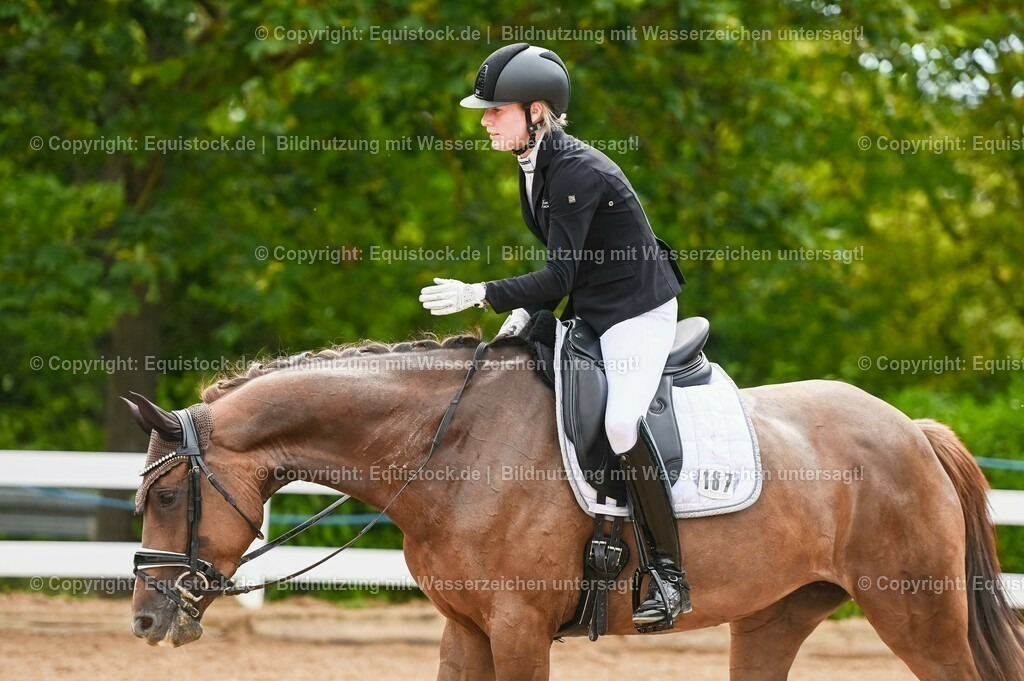 20230715_07_Dressurpferdeprfg. Kl.L_0075 | equistock