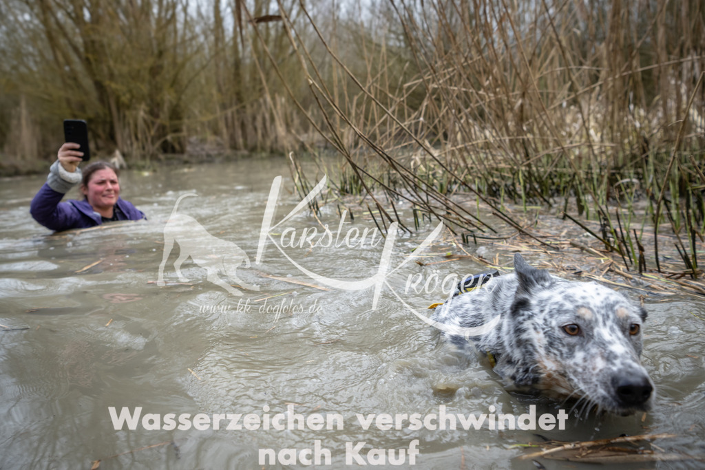 1431_ZZ99453 | kk-dogfotos