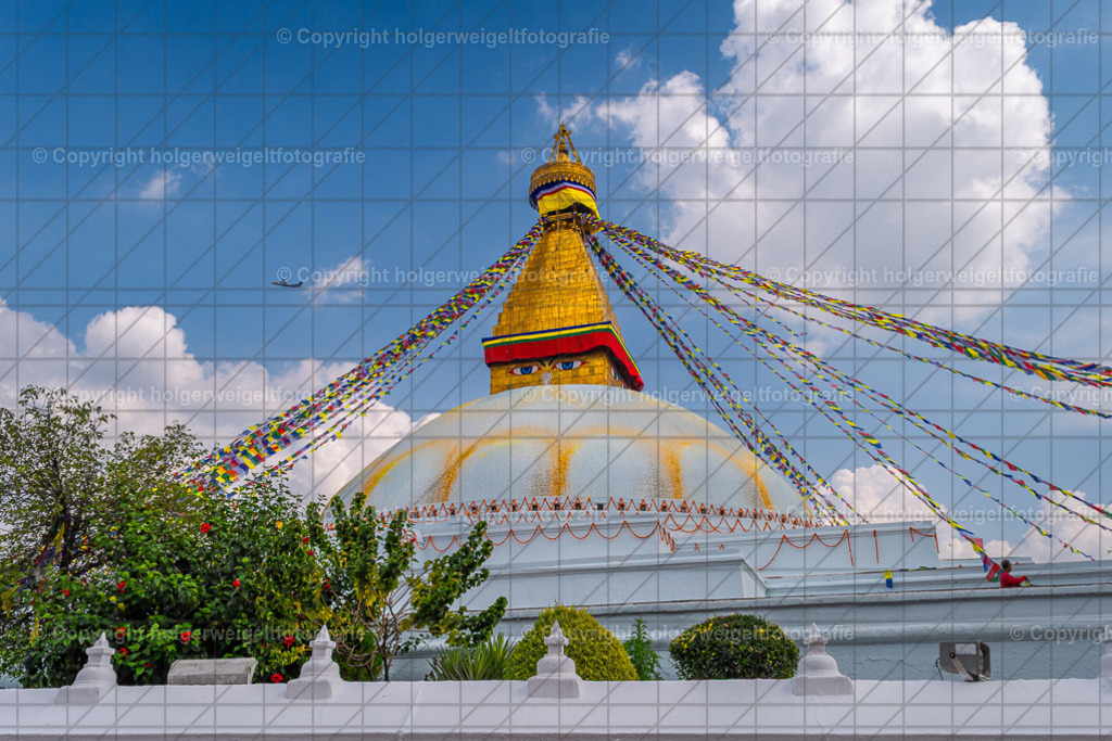20231018085510D75_8700 | Kaufen sie online außergewöhnliche Fotografien auf Leinwand Acrylglas Fotoprint Aludibond von holgerweigeltfotografie - Realisiert mit Pictrs.com