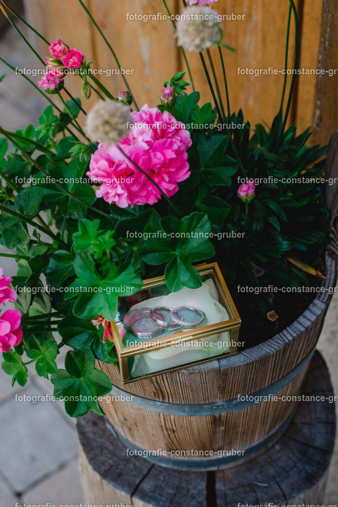 1007 | Fotografie Constance Gruber - Realisiert mit Pictrs.com