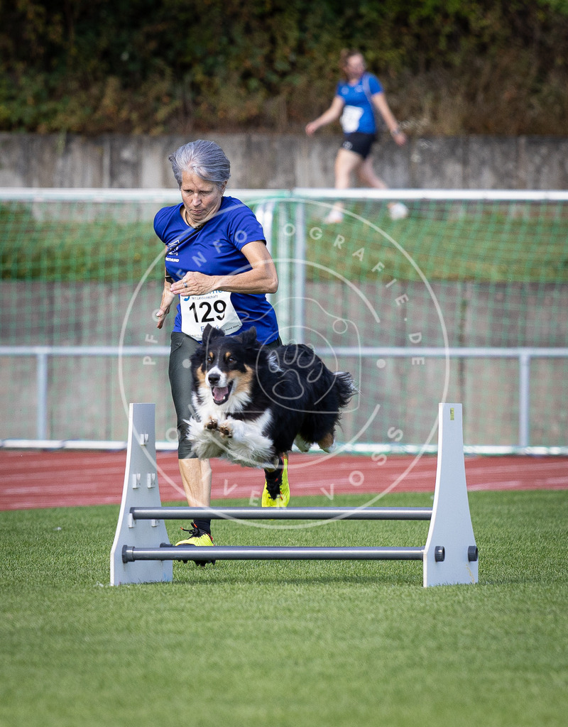 Pfotenfotografie_DV3A8720 | Hundefotografie, Tierfotograf, Pfotenfotografie, Fotoshooting Hund, Hunde Portrait, Hundesport, Hundeportraits, Heideshooting, Hunde, Sportfotograf, Hundefotograf, Turnierhundsport, THS,  - Realisiert mit Pictrs.com
