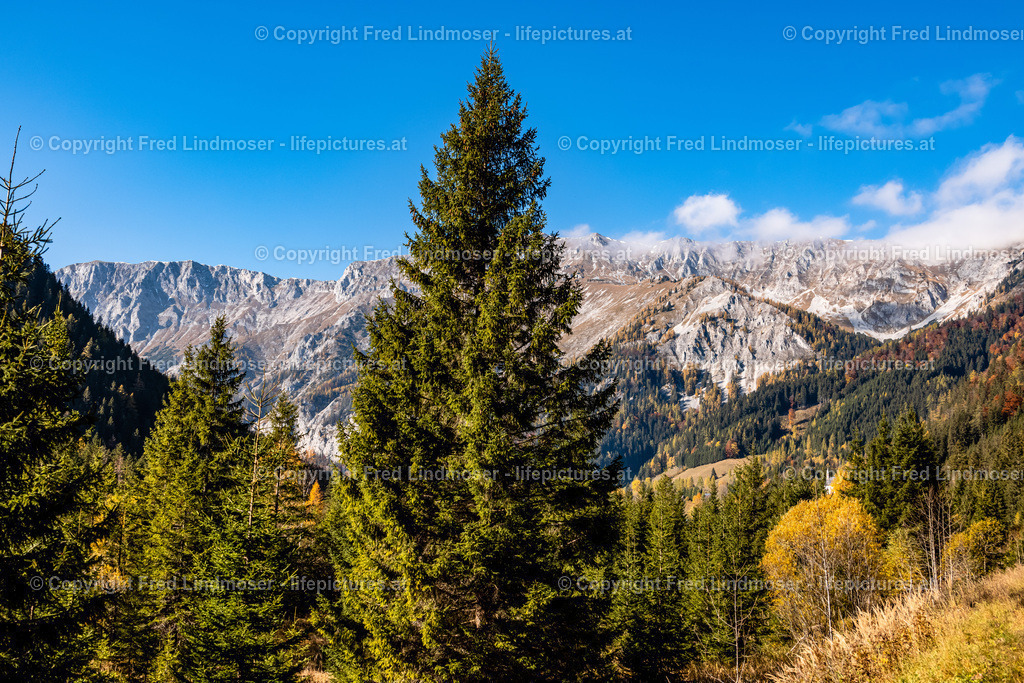 Seewiesen Duerrsee Hochschwab Herbst 24102021-0570 | Fotos und Fotoprodukte - Realisiert mit Pictrs.com