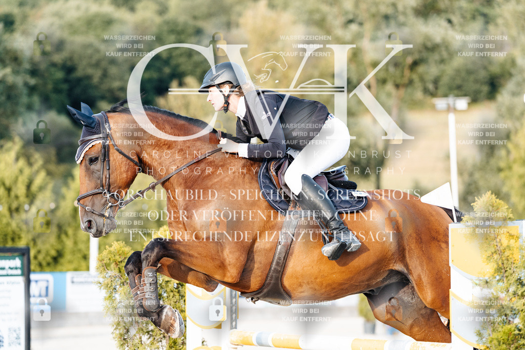CK900898 | Turnierfotografie Pferdefotografie Trier Rheinland-Pfalz Pferdesport Reitsport Tierfotografie Sportfotografie Pferdevideo Pferdevideografie Equestrianvideography equestrianphotography  - Realisiert mit Pictrs.com