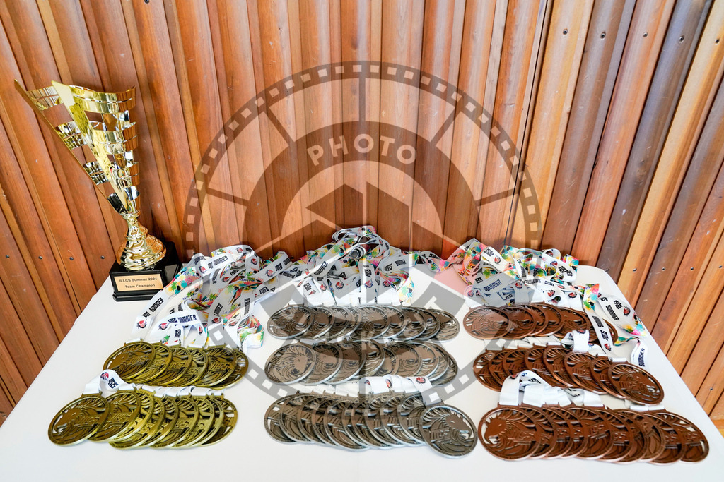 20240608PBB00092 | Fighters compete during the ILLCS VII summer edition luta livre competition in Hannover, Germany, on June 8, 2024.