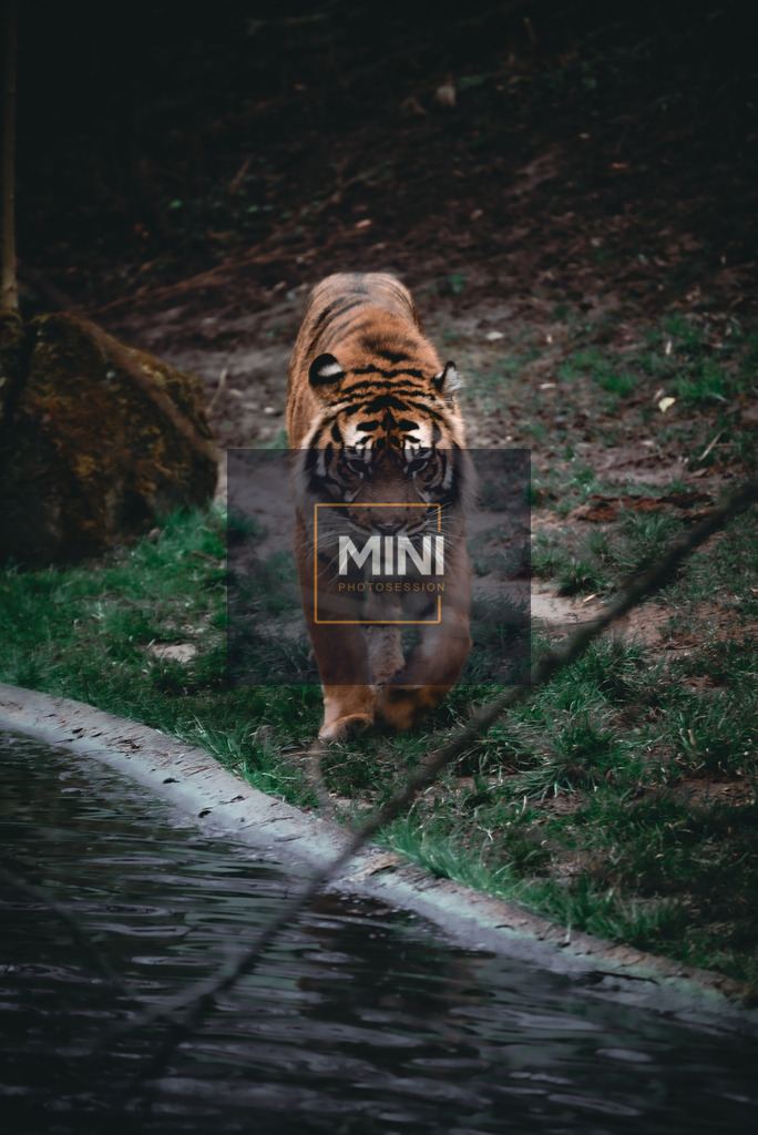 20230312-DSC_3473storie | Michael Nibel Fotografie - Realisiert mit Pictrs.com