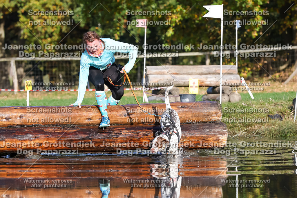 Dog Paparazzi - Strongdog 10-25-8634 | Dog Paparazzi Jeanette Grottendiek Fotografie & Videografie - Realisiert mit Pictrs.com