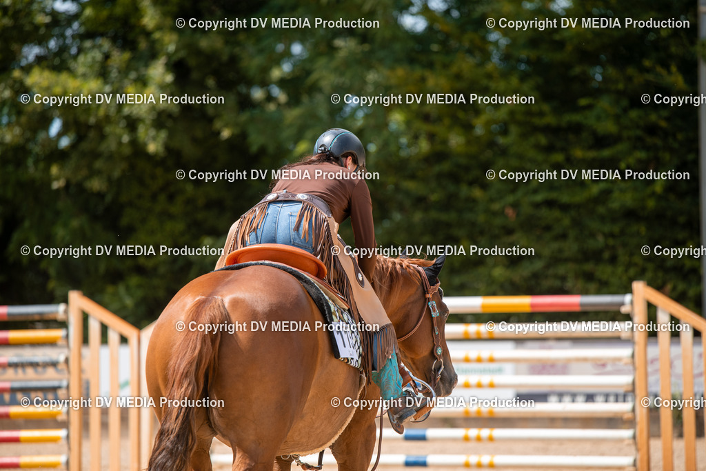 EWP_6672 | dv-media-shop - Realisiert mit Pictrs.com