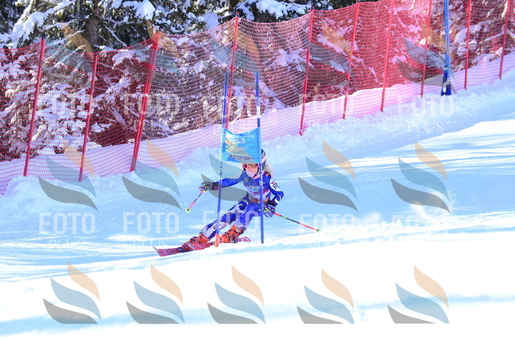 B2734 | holidayphoto