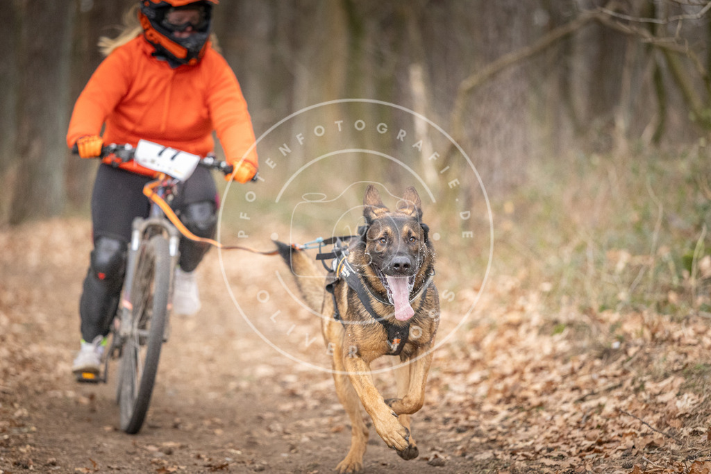 Pfotenfotografie_DV3A5795 | Hundefotografie, Tierfotograf, Pfotenfotografie, Fotoshooting Hund, Hunde Portrait, Hundesport, Hundeportraits, Heideshooting, Hunde, Sportfotograf, Hundefotograf, Turnierhundsport, THS,  - Realisiert mit Pictrs.com