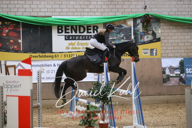 IMG_0618 | Turnierfotos kaufen im Webshop von Daniel Kuhl Photography – entdecke professionelle Reitsportfotos aus Turnieren & Events. Hochwertige Turnierbilder online bestellen & sichern. Jetzt Fotos von Reitsportturnieren kaufen!
