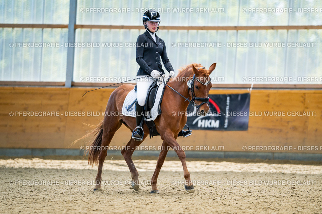 DSC05237 | Pferdegrafie