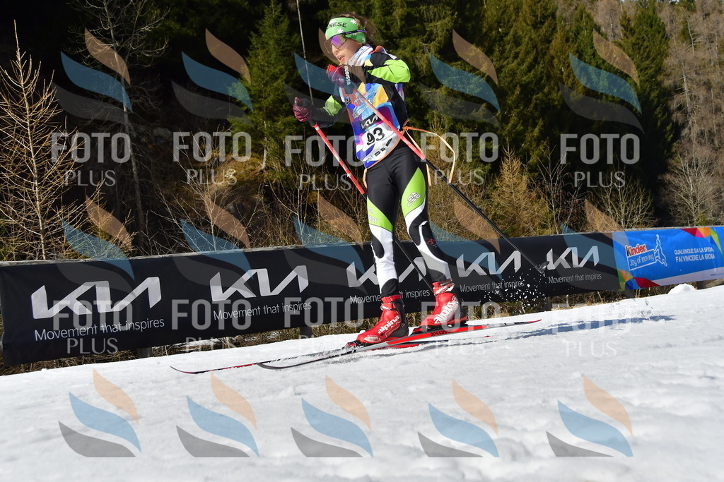 _DSC9518 | holidayphoto