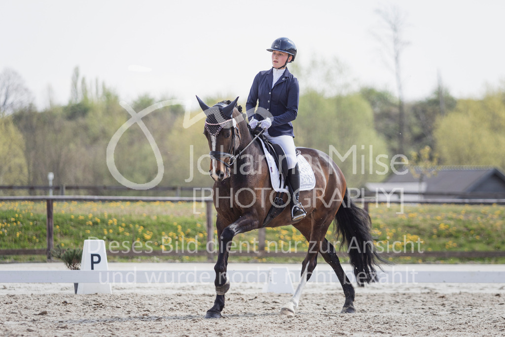 250416_Dressurpferde-L-229 | Deine schönsten Turniermomente als professionelle Fotos! Entdecke hochwertige Pferdesport-Fotografie im Online-Shop. Jetzt Fotos finden & bestellen!