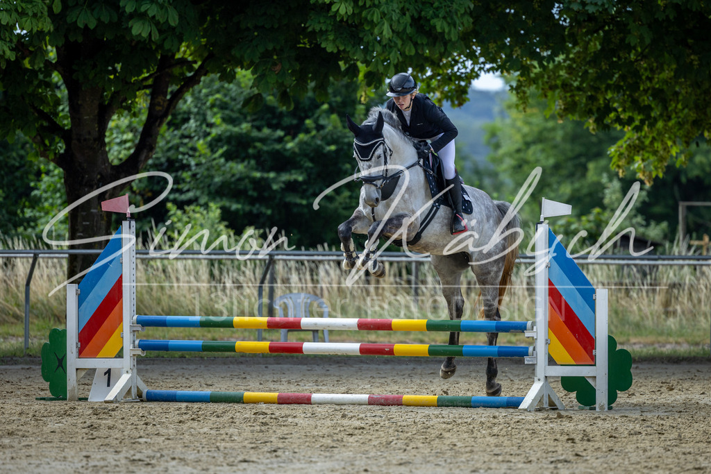 20260704-_3LI6671 | Tierfotografie Pferde, Hunde, Katzen, Haustiere.
Turnierfotografie Reitturniere, Reiten, Springreiten, Dressur in Hanau, dem Main-Kinzig-Kreis und dem Rhein-Main- Gebiet um Frankfurt