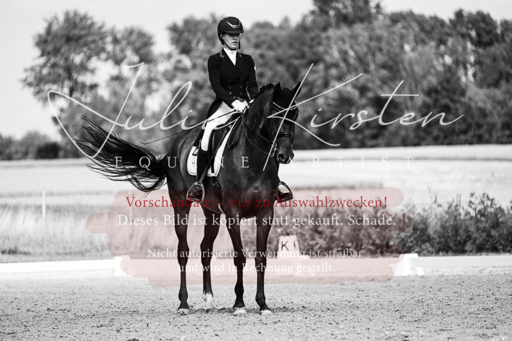 DSC_3044 | Pferde- und Turnierfotografie in Westsachsen. Pferdeportraits, Auftragszeichnungen und intuitive Kunst.