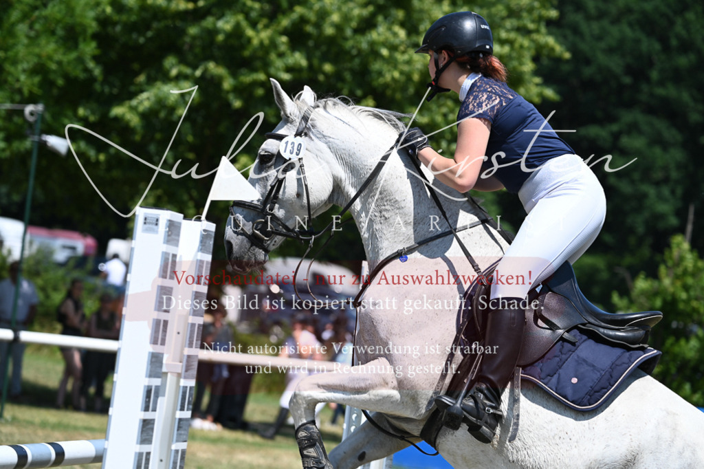 DSC_0617 | Pferde- und Turnierfotografie in Westsachsen. Pferdeportraits, Auftragszeichnungen und intuitive Kunst.