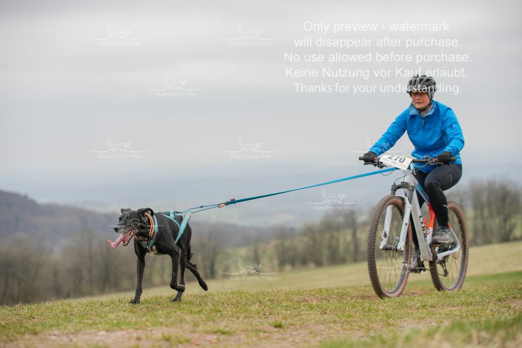 BikeSA-385 | stephaniefillaphotographie - Realisiert mit Pictrs.com