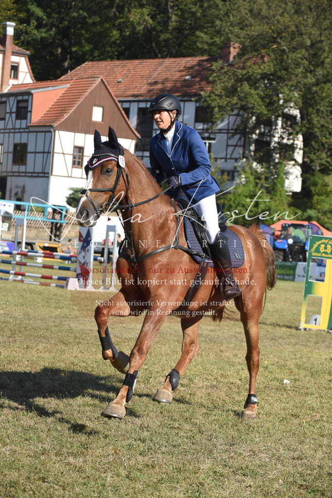 DSC_5329 | Pferde- und Turnierfotografie in Westsachsen. Pferdeportraits, Auftragszeichnungen und intuitive Kunst.