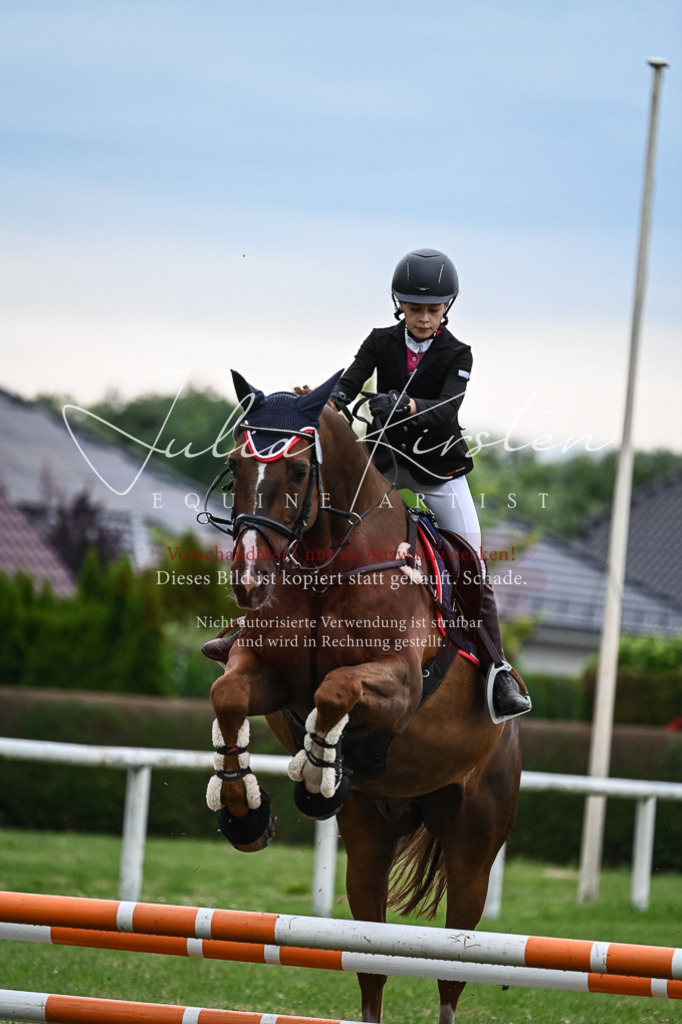 DSC_8529 | Pferde- und Turnierfotografie in Westsachsen. Pferdeportraits, Auftragszeichnungen und intuitive Kunst.