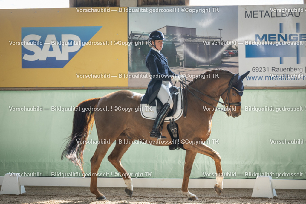 _D5A9619 | Emotionale Pferde- & People-Fotografie rund um Heidelberg, Leimen & Umgebung. Natürliche Fotos von Pferd, Mensch & Familie. Jetzt Termin sichern!