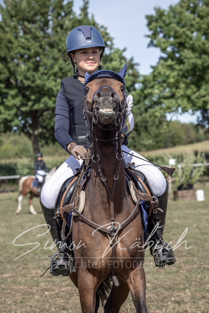 20250907-_3LI0195 | Tierfotografie Pferde, Hunde, Katzen, Haustiere.
Turnierfotografie Reitturniere, Reiten, Springreiten, Dressur in Hanau, dem Main-Kinzig-Kreis und dem Rhein-Main- Gebiet um Frankfurt