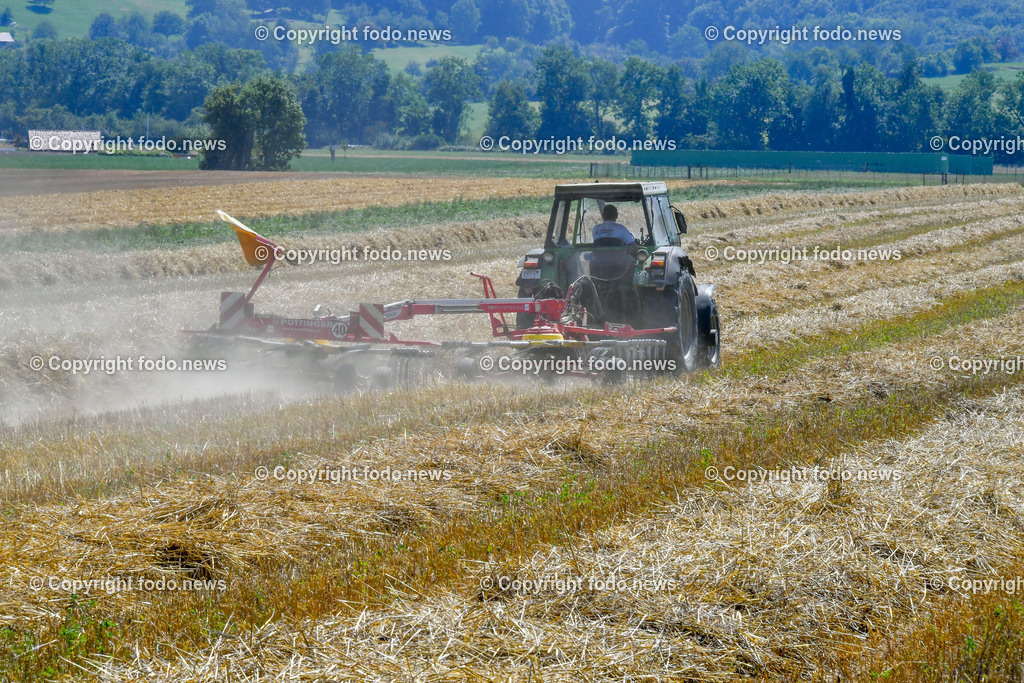 Deutschland_ Baden-Wuerttemberg_ Heiningen_ 11.08.2025-5 | 11.08.2025, Deutschland, GER, Baden-Wuerttemberg, Landkreis Goeppingen, Heiningen, im Bild Themenbild, Feldarbeit, Maehdrescher, Traktor, Heuballen, Heuwenden, Landwirtschaft, Ernte, Ackerbau, Bauernhof, Erntemaschine, Schwaden, Stroh, Heuernte, Ballenpresse, Anhaenger, landwirtschaftliche Technik, Sommer, Landwirt, Bauer, Staub, Feldweg, Sonnenlicht, Landleben, Agrarwirtschaft, Traktorengeraeusch, Maschinenarbeit, Feature, Symbolbild