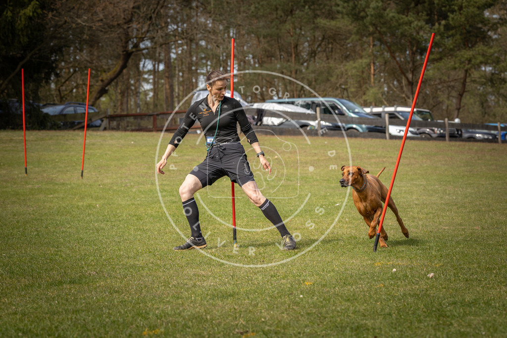 Pfotenfotografie_DV3A7138 | Hundefotografie, Tierfotograf, Pfotenfotografie, Fotoshooting Hund, Hunde Portrait, Hundesport, Hundeportraits, Heideshooting, Hunde, Sportfotograf, Hundefotograf, Turnierhundsport, THS,  - Realisiert mit Pictrs.com
