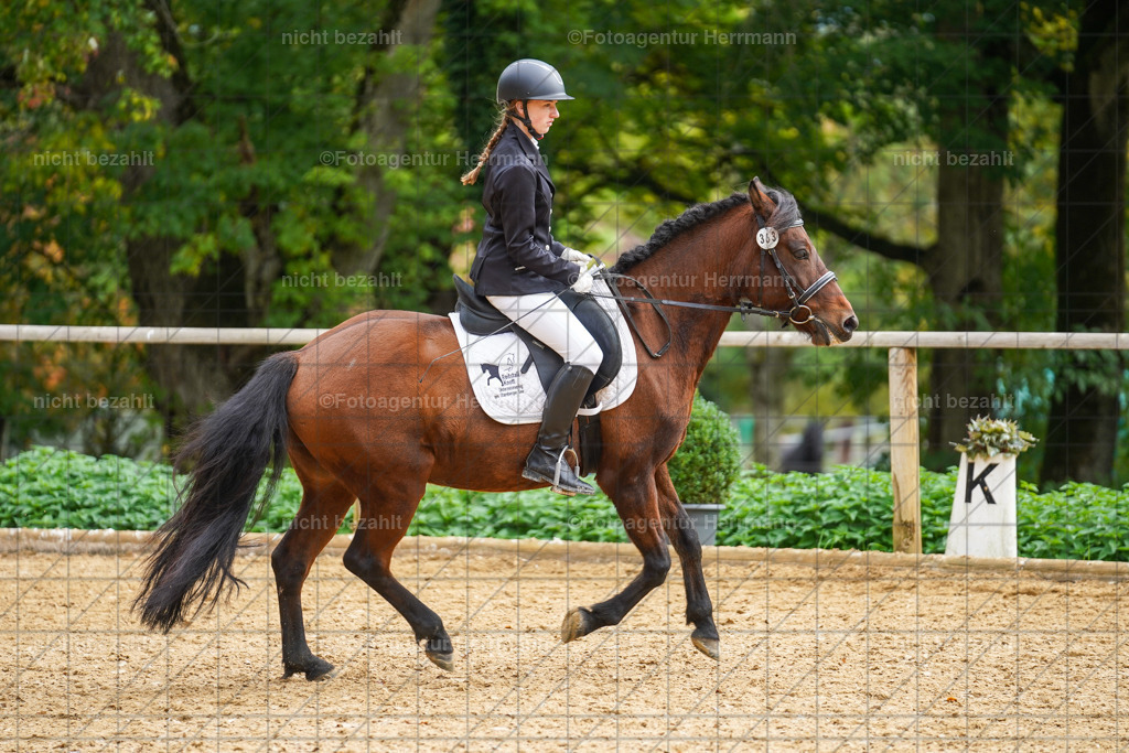 20221008-FAH01283 | Diessen am Ammersee, 2022, Dressur- und Springturnier, Reitsportbilder, Turnierfotografen Bayern, Pferdefotografen, Fotoagentur Herrmann, Turnierbilder