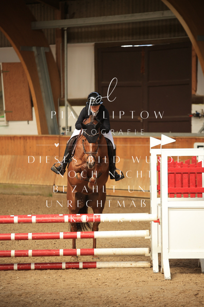 IMGT0617 | pl-fotografie