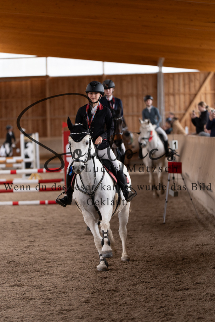 A7507931 | Pferdefotograf